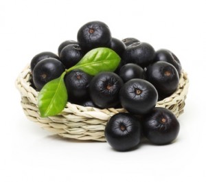 Berries in bowl isolated